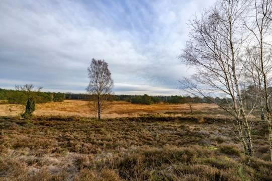 Vakantiebungalow De Schaapskooi Holiday home
